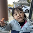 270-1525 | 경북 경주여행 :: 황리단길 주전부리 / 교리김밥, 황남쫀드기, 스타벅스 경주대릉원점 내돈내산