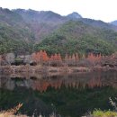 국망봉자연휴양림캠핑장 이미지