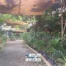 제이예스마트