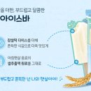 아침햇살 이미지