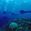 행복한해적 이미지