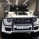 클럽 엠 패밀리 이미지