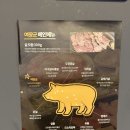 여장군 홍성점 | [홍성 맛집] 결혼 준비 중 기력 보충! 가성비 끝판왕 홍성 고깃집 '여장군' 후기