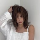 에코프라미스 이미지