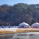 부여골프랜드 | 원주 여행기_오크밸리 쿠키런스위트랜드 눈썰매장 지극히 주관적인 내돈내산 후기!_힐스빌리지 D동 32평