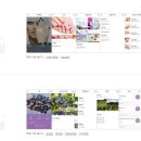 화랑카인테리어 이미지