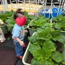 예림어린이집 이미지