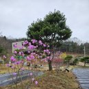 운심농장 이미지