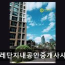 바로그부동산공인중개사사무소 | 뉴포레단지내공인중개사사무소 자연환경과 도심 접근성 조화