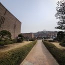중남미문화원부설박물관 Daum카페
