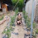 새금빛 약국 이미지