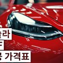 범퍼카프로 네이버블로그