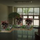 공간꽃조경 이미지