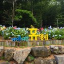옥림 유아숲체험원 이미지
