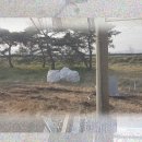 비산 당구장 이미지