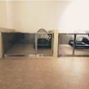 이든반려견 문화센터 이미지