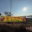 율면농장 이미지