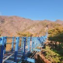 까치카정비센터 | 원주 소금산그랜드밸리 한바퀴 소금산 케이블카 출렁다리 울렁다리 코스