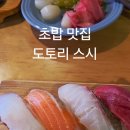 도토리스시