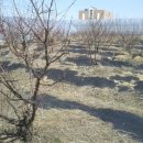 석인농장 이미지