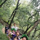 아이뜰유치원 이미지