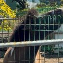 백록농장 이미지