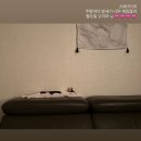 연합동물병원 | 7월 다섯째주 일상 &lt;광주 장마: 베스킨라빈스 50%할인 받는 법&gt;