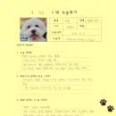 정강동물병원 | [#1391] 설탕(우측 전방십자인대)의 수술후기