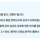 앤플러스 영어연구소(N English Lab)