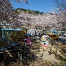 황령산순환도로 이미지