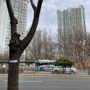 동탄 고기집 홍박사생고기 | 가족모임하기 좋은 반송동 한우맛집