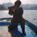 고향건강원 이미지