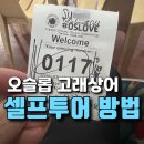 세부 오슬롭 고래상어 투어 셀프투어 방법 : 버스 이동부터 예약·비용까지 총정리(ft. 예약 없이 당일...