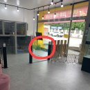 마이펫 룸 이미지