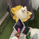 바다정원글램핑 이미지