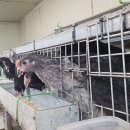 청계유통