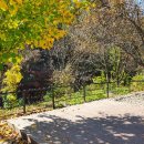 자우림캠핑장 이미지