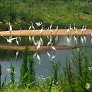 정다운노인복지센터 이미지