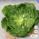 호동비빔밥 이미지