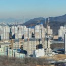 미(美)메이드사랑 공인중개사사무소 | [23. 3. 3]최원철의 부동산 경제뉴스