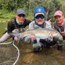 황금낚시 이미지