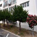 조양건축 이미지