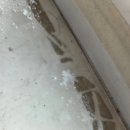 CO-OP Residence/서초동 | “보이지 않는 차이, 오목교 코업레지던스 입주청소의 정답”