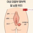 샘여성산부인과의원 네이버블로그