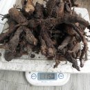 광산구-025 이미지