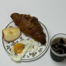 삼양동물병원 | ~260531