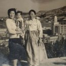 부산초장 이미지