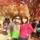 해오름농장 2 이미지