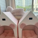 소중하개 이미지