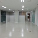 디자인호 이미지